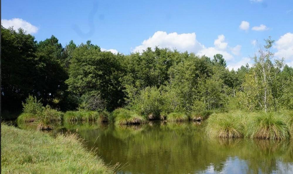 Gite L'Atelier Bois Gailleres Bagian luar foto